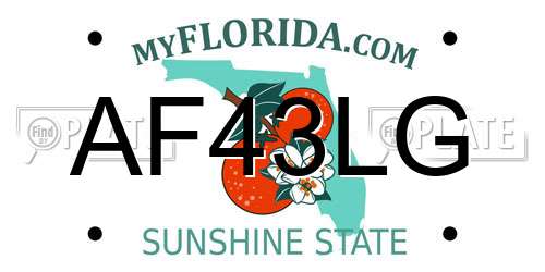 AF43LG Florida License Plate