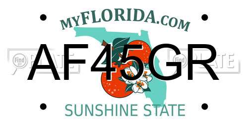 AF45GR Florida License Plate