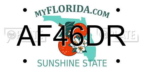 AF46DR Florida License Plate