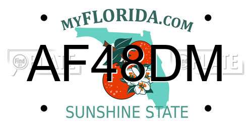 AF48DM Florida License Plate