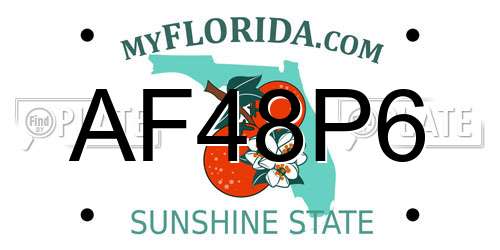 AF48P6 Florida License Plate