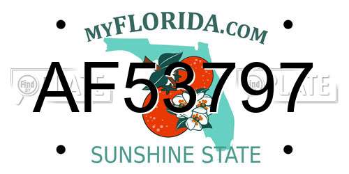 AF53797 Florida License Plate