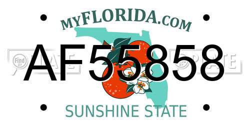 AF55858 Florida License Plate