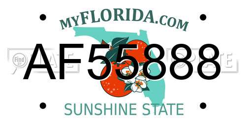AF55888 Florida License Plate