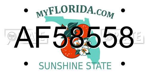 AF58558 Florida License Plate