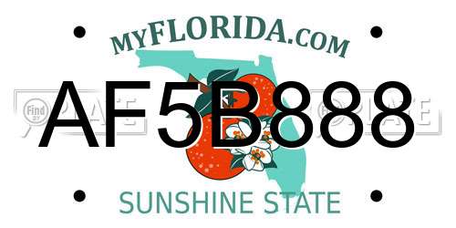 AF5B888 Florida License Plate