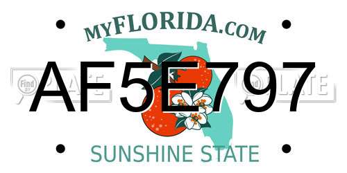AF5E797 Florida License Plate