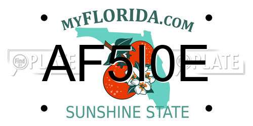 AF5I0E Florida License Plate