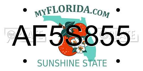 AF5S855 Florida License Plate