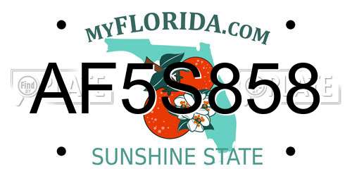 AF5S858 Florida License Plate