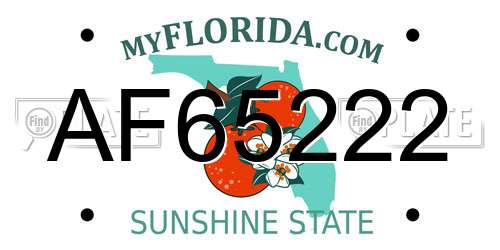 AF65222 Florida License Plate