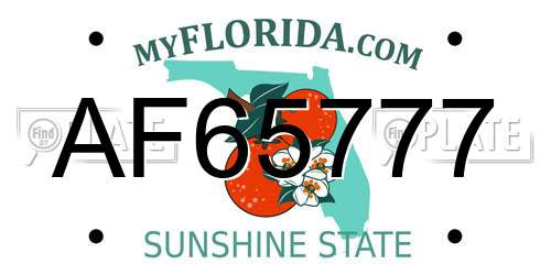 AF65777 Florida License Plate
