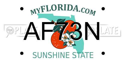 AF73N Florida License Plate