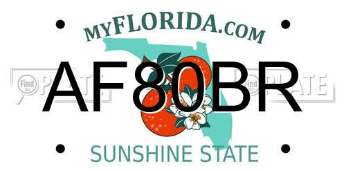 AF80BR Florida License Plate