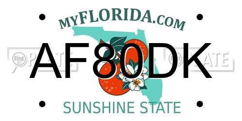 AF80DK Florida License Plate