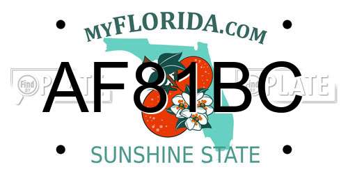 AF81BC Florida License Plate