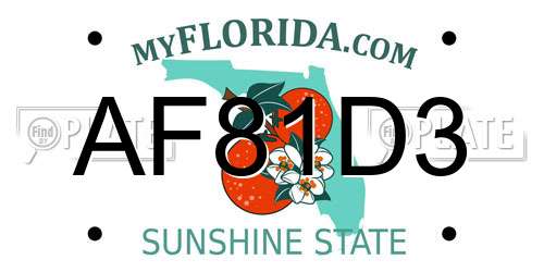 AF81D3 Florida License Plate