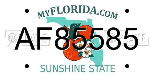 AF85585 Florida License Plate