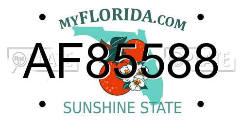 AF85588 Florida License Plate