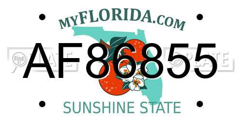 AF86855 Florida License Plate