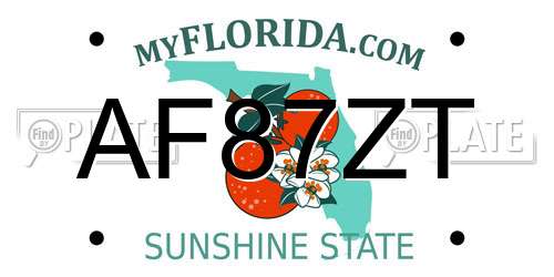 AF87ZT Florida License Plate