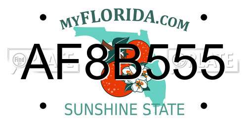 AF8B555 Florida License Plate