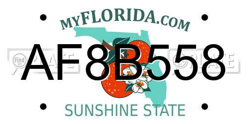 AF8B558 Florida License Plate
