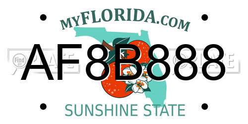 AF8B888 Florida License Plate