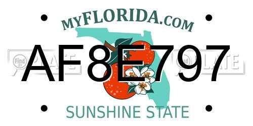 AF8E797 Florida License Plate