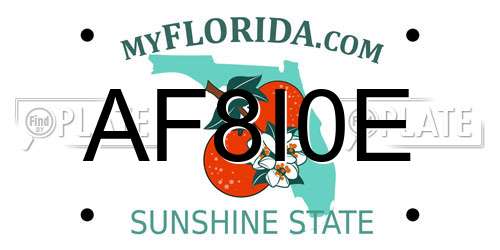 AF8I0E Florida License Plate