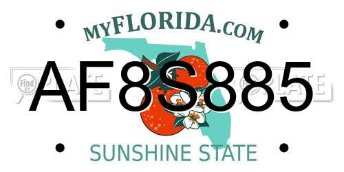 AF8S885 Florida License Plate