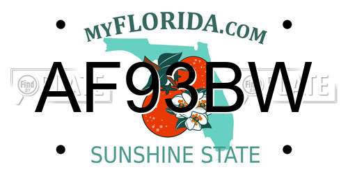 AF93BW Florida License Plate