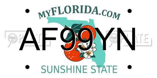 AF99YN Florida License Plate