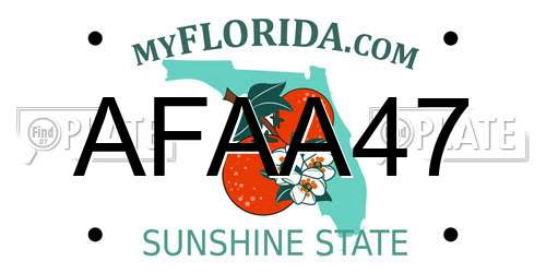 AFAA47 Florida License Plate