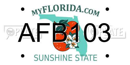 AFB103 Florida License Plate