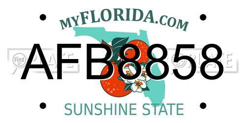 AFB8858 Florida License Plate