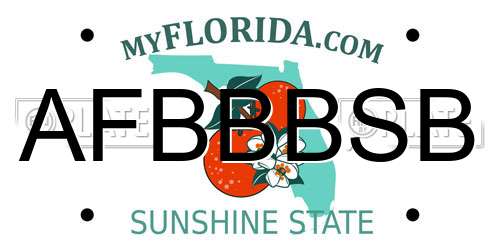 AFBBBSB Florida License Plate