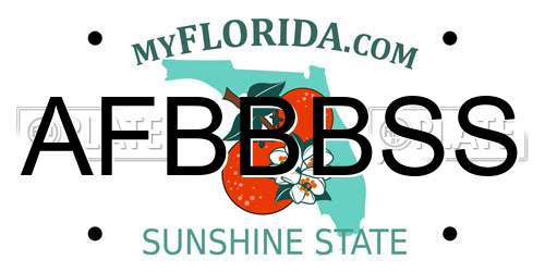 AFBBBSS Florida License Plate
