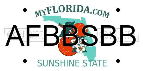 AFBBSBB Florida License Plate