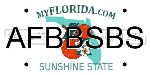 AFBBSBS Florida License Plate
