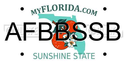 AFBBSSB Florida License Plate