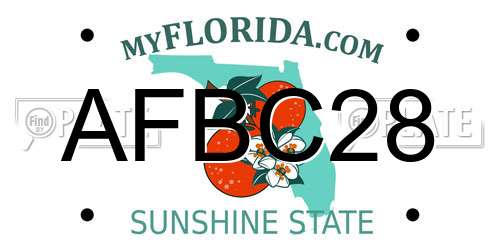 AFBC28 Florida License Plate