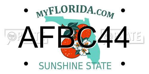 AFBC44 Florida License Plate