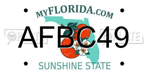 AFBC49 Florida License Plate