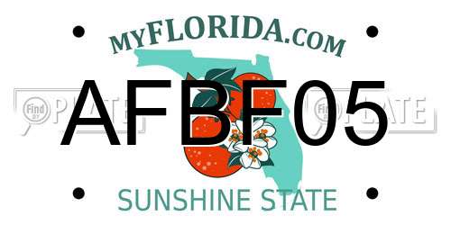AFBF05 Florida License Plate
