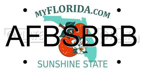 AFBSBBB Florida License Plate