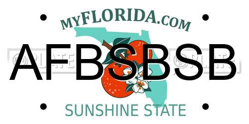 AFBSBSB Florida License Plate
