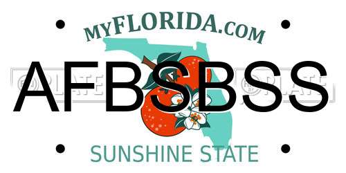 AFBSBSS Florida License Plate