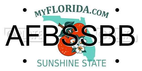 AFBSSBB Florida License Plate