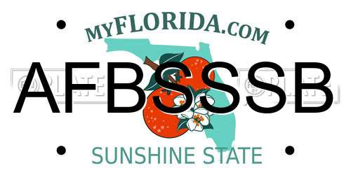 AFBSSSB Florida License Plate